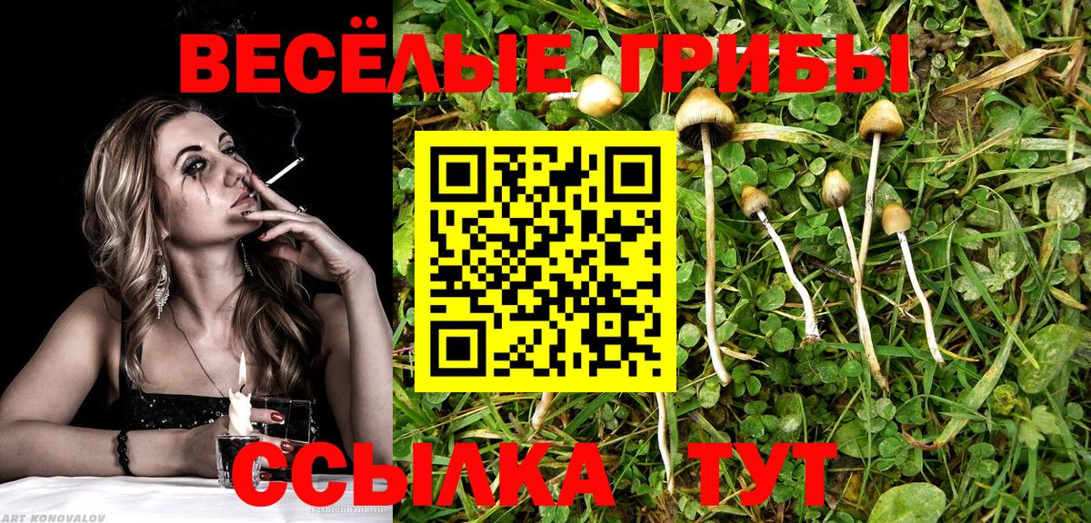 Балахна  Псилоцибиновые грибы Magic Shrooms  Вход с VPN  Галлюциногенные грибы Psilocybine cubensis 