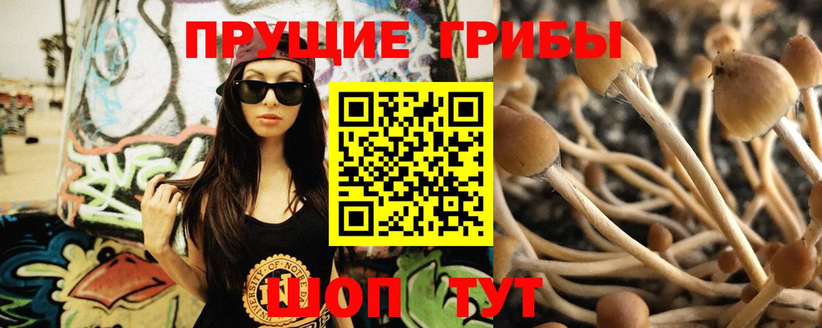 Псилоцибиновые грибы Magic Shrooms Балахна